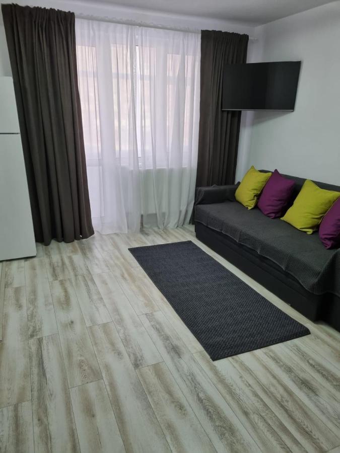 Luxury Apartament Curtea De Arges Exterior photo